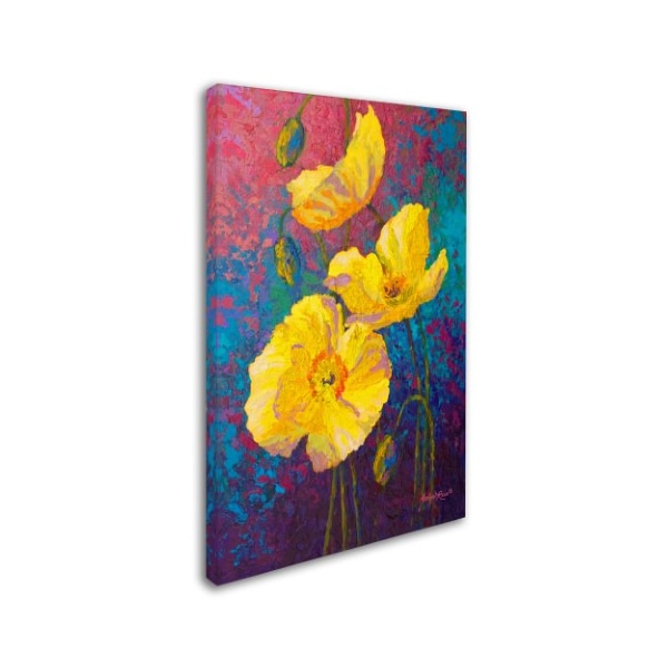 Marion Rose 'Yel Poppies' Canvas Art,16x24